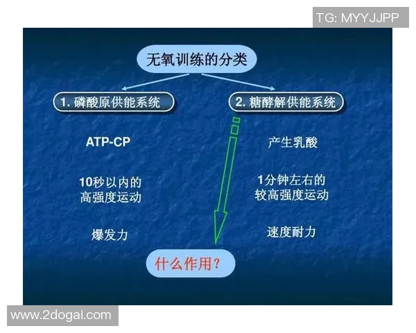 科学羽毛球战术训练方法探究与实战应用技巧分享